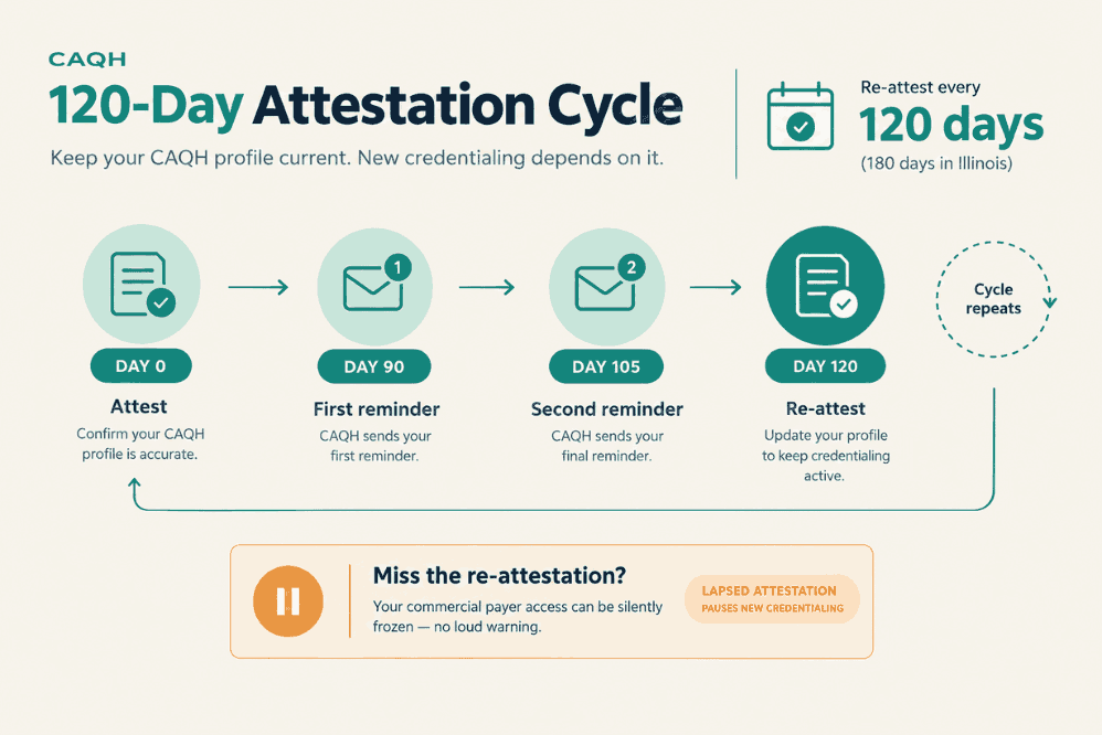 CAQH 120-day attestation cycle and what happens when the profile lapse